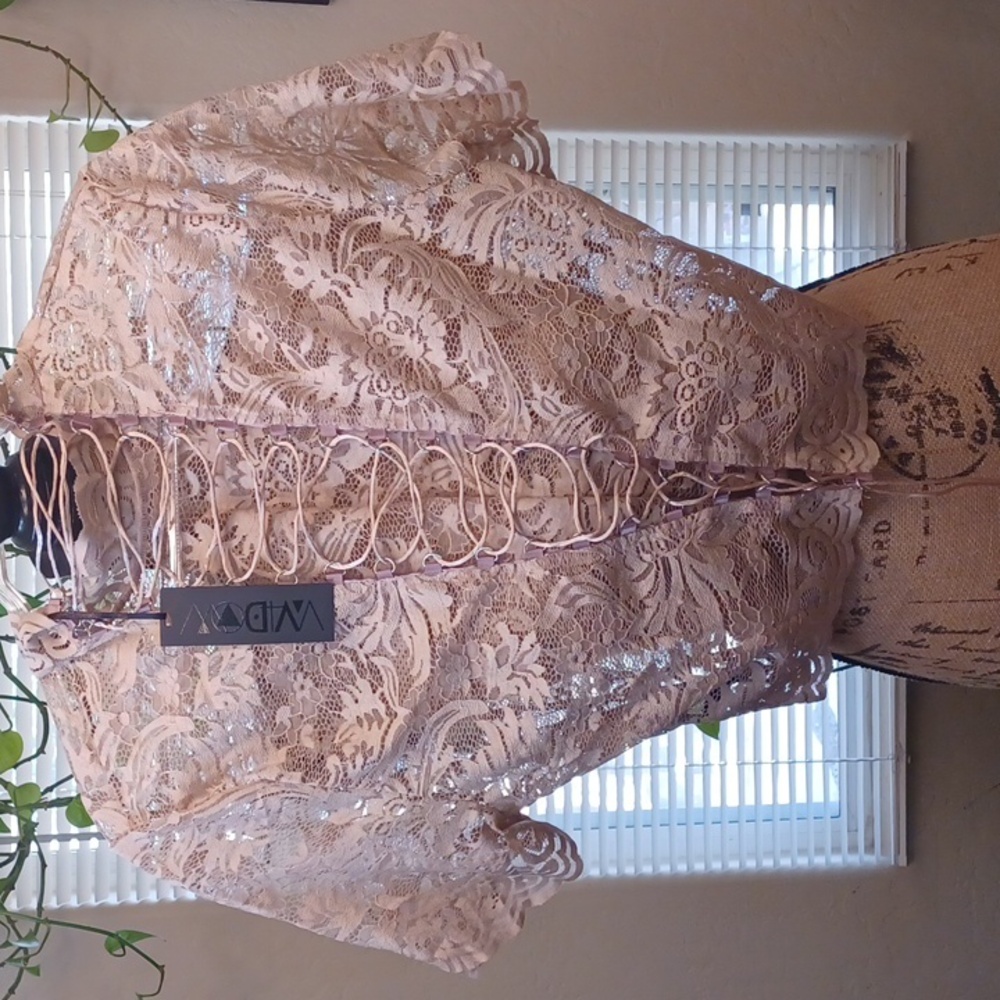 DOLLSKILL WIDOW 1X OMINOUS TRANCE LACE CROP TOP LIGHT BROWN LACE UP BACK CLOSURE